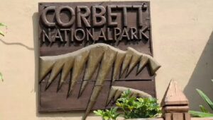 जिम कॉर्बेट नेशनल पार्क में 65 वर्ष पार कर चुकी हथिनी और 10 वर्ष से अधिक के स्निफर डॉग होंगे सेवानिवृत- वन्यजीव सप्ताह में होगी शानदार विदाई विदाई- तैयारियों में जुटा पार्क प्रशासन