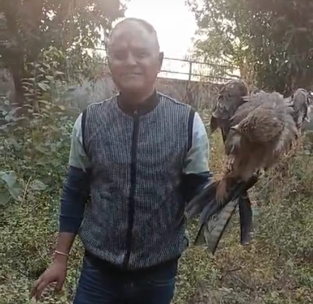 मानवता की मिशाल:- वरिष्ठ पत्रकार एवं पक्षी प्रेमी प्रकाश नैनवाल ने मोबाइल टावर में फंसे चील की बचाई जान