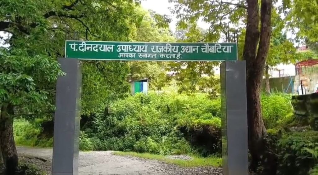 अधिकारियों की उदासीनता:- बदहाली की कगार पर विश्व प्रसिद्ध चौबटिया गार्डन