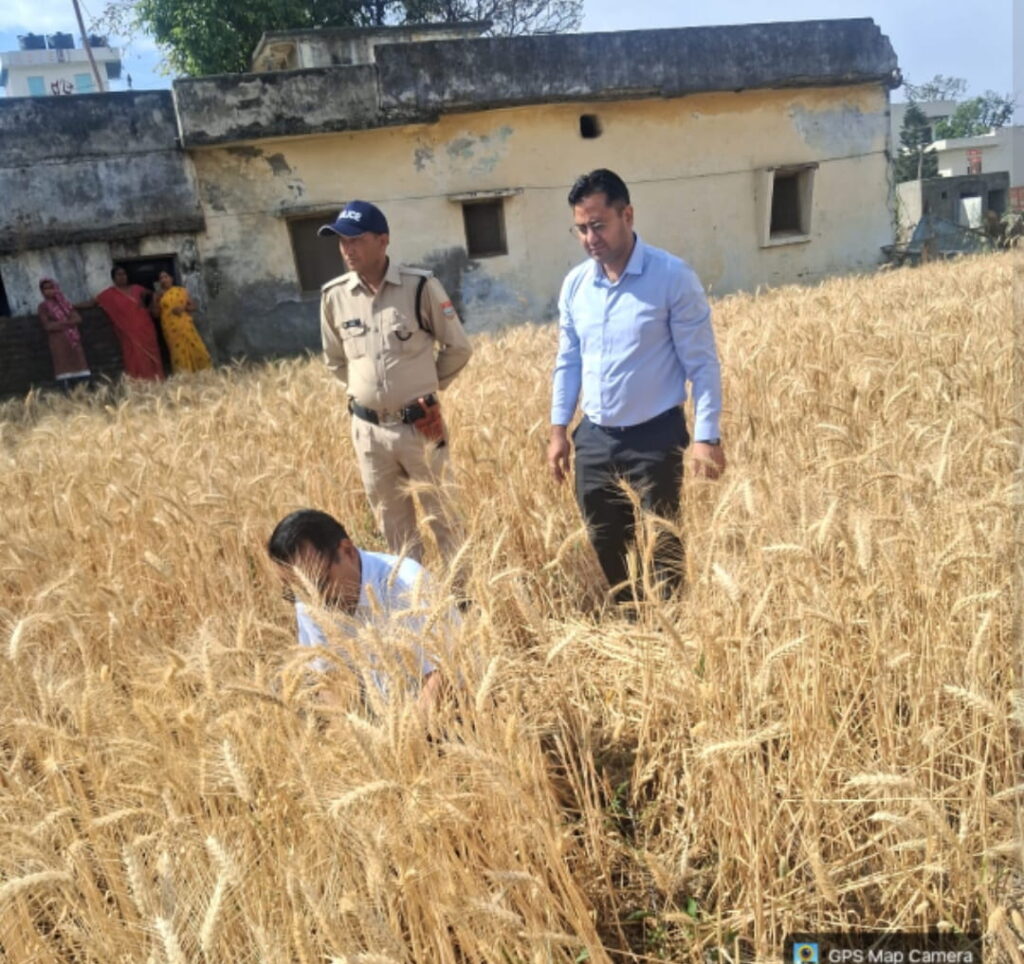 डीएम ललित मोहन रयाल ने राजस्व गांव में की रबी फसल की क्रॉप कटिंग