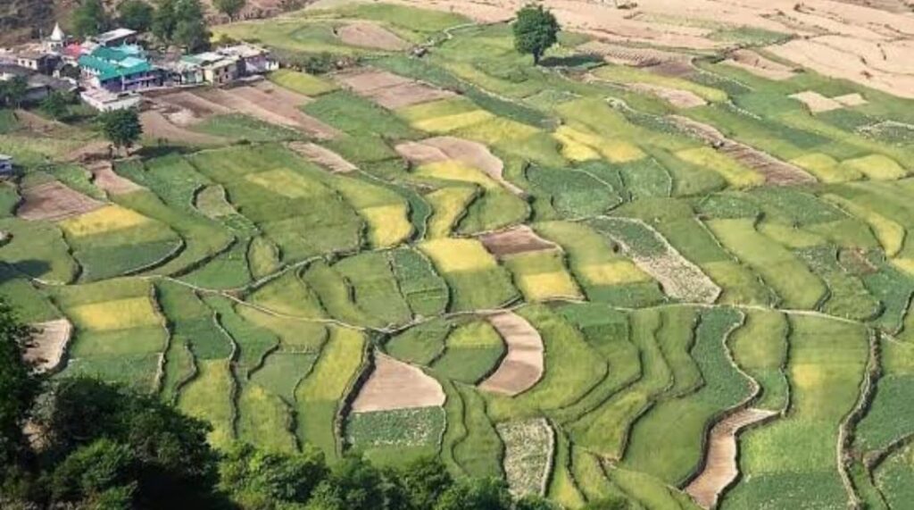 बड़ी खबर:- जाति छुपाकर भूमि विक्रय पर कड़ी कार्रवाई- 1.170 हेक्टेयर भूमि राज्य सरकार में निहित