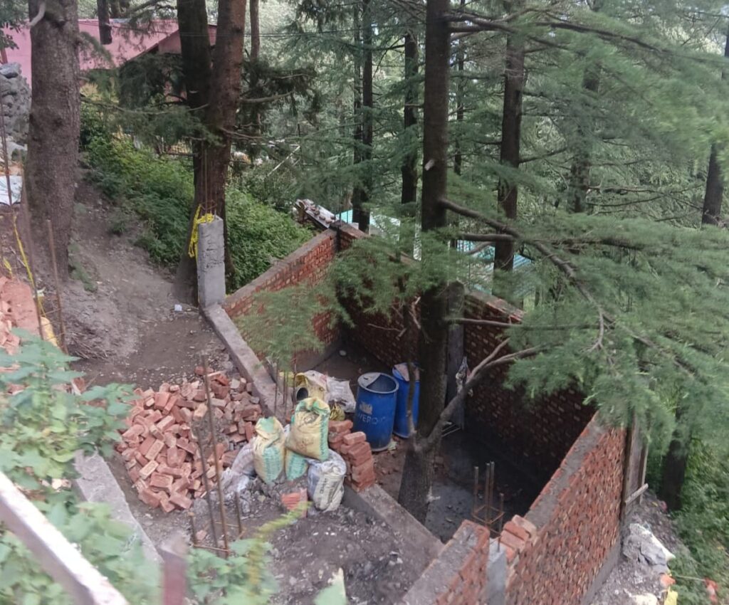 सरकारी नियमों की अनदेखी:- पेड़ों को चारदीवारी में कैद कर धड़ल्ले से हो रहा है अवैध निर्माण
