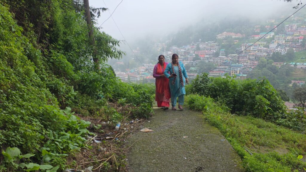 कलेक्ट्रेट परिसर के मुख्य मार्ग में उगी बड़ी-बड़ी झाड़ियां- नागरिकों की सुरक्षा और सुविधा पर सवाल