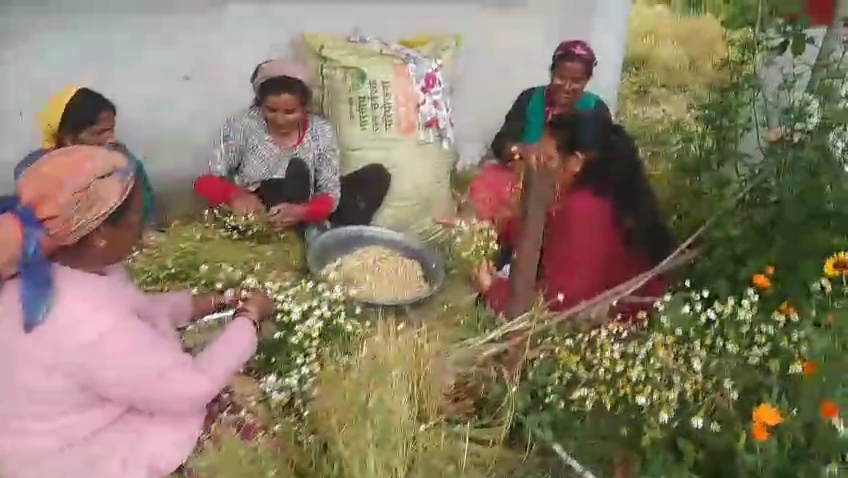 आत्मनिर्भर उत्तराखंड के संकल्प को साकार कर रहा शीतल स्वयं सहायता समूह